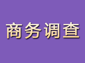 贡井商务调查